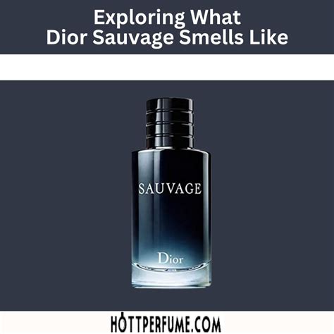 dior sauvage neu|what does Dior Sauvage smell like.